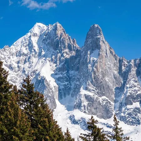 Confortable A Chamonix-mont-blanc Avec Balcon