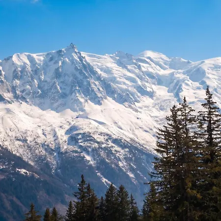 Confortable A Chamonix-mont-blanc Avec Balcon